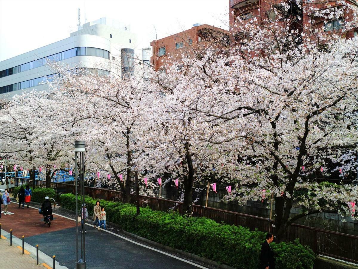 Coto Tokyo Shibuya 6 Apartment Exterior photo